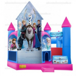 Tall Frozen Castle and Slide